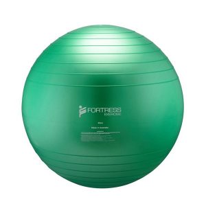 Fortress Pro Fitness Ball